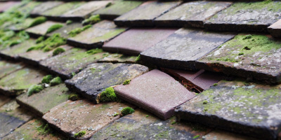 Castle roof repair costs